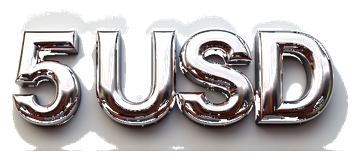 5usd logo